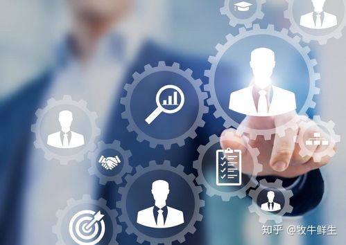 三農(nóng)新政策 以網(wǎng)絡(luò)文化經(jīng)營全面振興鄉(xiāng)村經(jīng)濟(jì)文化發(fā)展