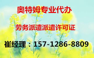 全面解析代理延慶縣網(wǎng)絡(luò)文化經(jīng)營許可證的辦理要點(diǎn)與流程